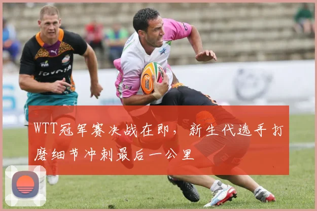 WTT冠军赛决战在即，新生代选手打磨细节冲刺最后一公里